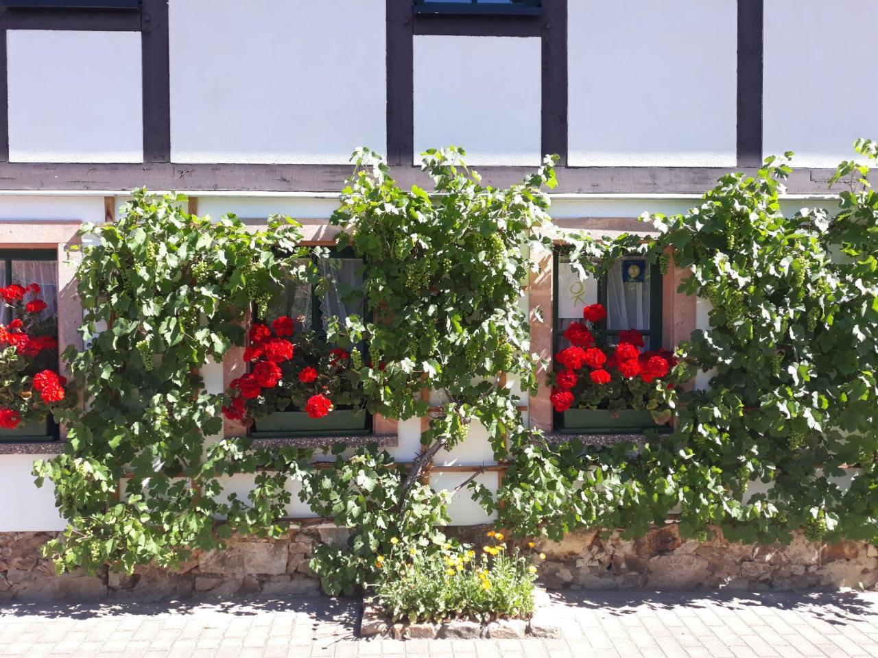 Balancehaus Kohren-Sahlis, Dein Kurhaus In Sachsen Hotel Kültér fotó